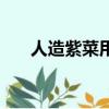 人造紫菜用什么做的（紫菜有假的嗎）