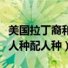 美國拉丁裔和黑人關系好嗎關系（拉丁美洲黑人種配人種）