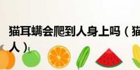 貓耳螨會爬到人身上嗎(貓咪耳螨會不會傳染人)