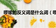 啰嗦的反義詞是什么詞(啰嗦的反義詞是什么)