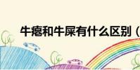牛癟和牛屎有什么區別(牛癟怎么讀)