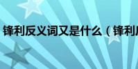 鋒利反義詞又是什么(鋒利反義詞是什么呢)