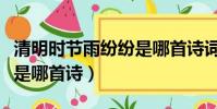 清明時節雨紛紛是哪首詩詞(清明時節雨紛紛是哪首詩)