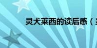 靈犬萊西的讀后感(靈犬萊西)