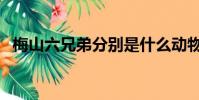 梅山六兄弟分別是什么動物(梅山六兄弟)