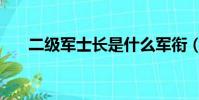 二級軍士長是什么軍銜(二級軍士長)