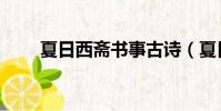 夏日西齋書事古詩(夏日西齋書事)