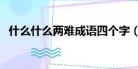 什么什么兩難成語四個字(什么什么兩難)