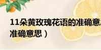 11朵黃玫瑰花語的準確意思(黃玫瑰花語的準確意思)