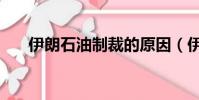 伊朗石油制裁的原因(伊朗石油制裁)