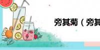 旁其菊(旁其)