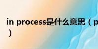 in process是什么意思(process是什么意思)