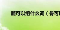 髓可以組什么詞(骨可以組什么詞)