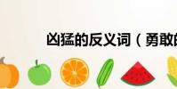 兇猛的反義詞(勇敢的反義詞)