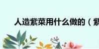 人造紫菜用什么做的(紫菜有假的嗎)