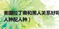 美國拉丁裔和黑人關系好嗎關系(拉丁美洲黑人種配人種)