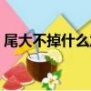 尾大不掉什么意思解釋（尾大不掉什么意思）