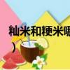 秈米和粳米哪個好吃些（秈米和粳米哪個好吃）