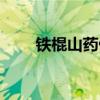 鐵棍山藥做法圖片（鐵棍山藥做法）