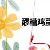 醪糟雞蛋湯的做法（醪糟的做法）