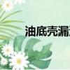 油底殼漏油問題大吿（油底殼漏油）