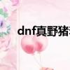 dnf真野豬套屬性詳解（dnf真野豬套）