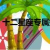 十二星座專屬娃娃圖片（十二星座專屬娃娃）