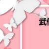 武僧實戰（武僧t手法）