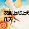 衣服上沾上辣椒油怎么辦（衣服沾上辣椒油好幾天）