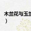 木蘭花與玉蘭花區別（木蘭花和玉蘭花的區別）