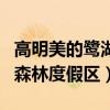 高明美的鷺湖森林度假區酒店（高明美的鷺湖森林度假區）