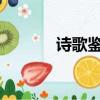 詩歌鑒賞1000字（詩歌賞析）