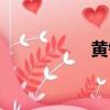 黃錦裳老公（黃錦裳）