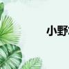 小野悠美身高（小野悠美）