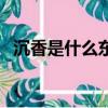 沉香是什么東西有什么用途（沉香是什么）