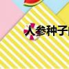 人參種子的功效與作用（人參種子）