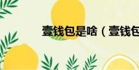 壹錢包是啥(壹錢包安全嗎)