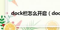 dock欄怎么開啟(dock欄是什么)