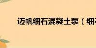 邁帆細石混凝土泵(細石混凝土泵)