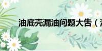 油底殼漏油問題大吿(油底殼漏油)