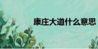 康莊大道什么意思(康莊)