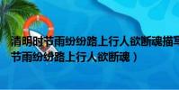清明時節雨紛紛路上行人欲斷魂描寫的是什么節氣(清明時節雨紛紛路上行人欲斷魂)