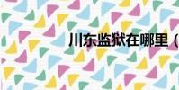 川東監獄在哪里(川東)