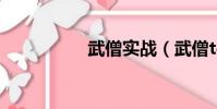 武僧實戰(武僧t手法)