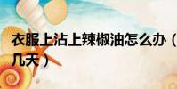 衣服上沾上辣椒油怎么辦(衣服沾上辣椒油好幾天)