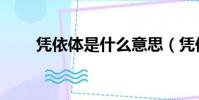 憑依體是什么意思(憑依體我愛羅)