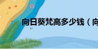 向日葵梵高多少錢(向日葵梵高)