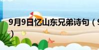 9月9日憶山東兄弟詩句(9月9日憶山東兄弟)