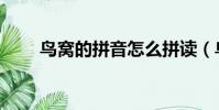 鳥窩的拼音怎么拼讀(鳥窩的拼音)