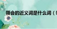 領會的近義詞是什么詞(領會的近義詞)